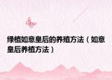 绿植如意皇后的养殖方法（如意皇后养植方法）