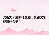 光谷火车站叫什么站（光谷火车站是什么站）