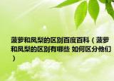 菠萝和凤梨的区别百度百科（菠萝和凤梨的区别有哪些 如何区分他们）