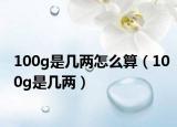 100g是几两怎么算（100g是几两）