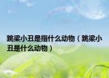 跳梁小丑是指什么动物（跳梁小丑是什么动物）