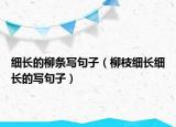 细长的柳条写句子（柳枝细长细长的写句子）