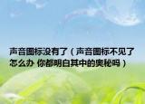 声音图标没有了（声音图标不见了怎么办 你都明白其中的奥秘吗）