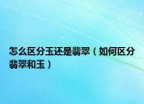 怎么区分玉还是翡翠（如何区分翡翠和玉）