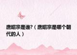 唐昭宗是谁?（唐昭宗是哪个朝代的人）