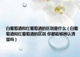 白葡萄酒和红葡萄酒的区别是什么（白葡萄酒和红葡萄酒的区别 你都能够辨认清楚吗）