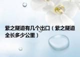 紫之隧道有几个出口（紫之隧道全长多少公里）
