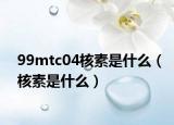 99mtc04核素是什么（核素是什么）