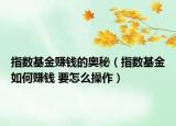 指数基金赚钱的奥秘（指数基金如何赚钱 要怎么操作）