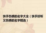 快手伤感的名字大全（快手好听又伤感的名字精选）