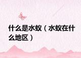 什么是水蚁（水蚁在什么地区）