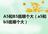 A5和B5纸哪个大（a5和b5纸哪个大）