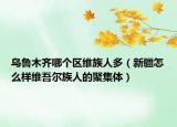 乌鲁木齐哪个区维族人多（新疆怎么样维吾尔族人的聚集体）