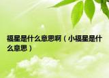 福星是什么意思啊（小福星是什么意思）