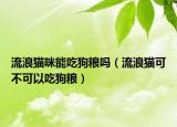 流浪猫咪能吃狗粮吗（流浪猫可不可以吃狗粮）