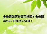 金鱼眼如何恢复正常眼（金鱼眼怎么办 护理技巧分享）