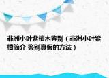 非洲小叶紫檀木鉴别（非洲小叶紫檀简介 鉴别真假的方法）