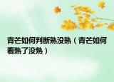 青芒如何判断熟没熟（青芒如何看熟了没熟）