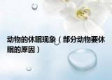 动物的休眠现象（部分动物要休眠的原因）