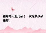 胎菊每天泡几朵（一次泡多少朵胎菊）