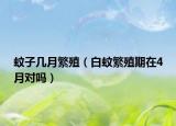 蚊子几月繁殖（白蚊繁殖期在4月对吗）