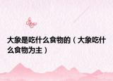 大象是吃什么食物的（大象吃什么食物为主）