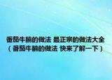 番茄牛腩的做法 最正宗的做法大全（番茄牛腩的做法 快来了解一下）
