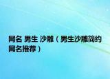 网名 男生 沙雕（男生沙雕简约网名推荐）