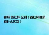 番茄 西红柿 区别（西红柿番茄有什么区别）