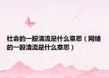 社会的一股清流是什么意思（网络的一股清流是什么意思）