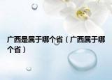 广西是属于哪个省（广西属于哪个省）