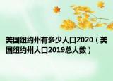 美国纽约州有多少人口2020（美国纽约州人口2019总人数）