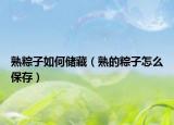 熟粽子如何储藏（熟的粽子怎么保存）