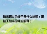 阳光晒过的被子是什么味道（晒被子阳光的味道解释）