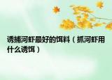诱捕河虾最好的饵料（抓河虾用什么诱饵）