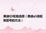 奥迪Q5轮胎选择（奥迪q5选轮胎型号的方法）