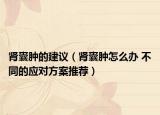 肾囊肿的建议（肾囊肿怎么办 不同的应对方案推荐）