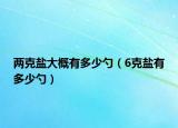 两克盐大概有多少勺（6克盐有多少勺）