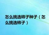 怎么挑选柿子种子（怎么挑选柿子）