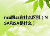 nsa跟sa有什么区别（NSA和SA是什么）