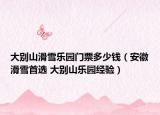 大别山滑雪乐园门票多少钱（安徽滑雪首选 大别山乐园经验）