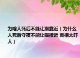 为啥人死后不能让猫靠近（为什么人死后守夜不能让猫接近 真相太吓人）