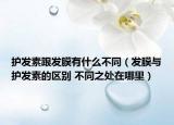 护发素跟发膜有什么不同（发膜与护发素的区别 不同之处在哪里）