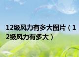 12级风力有多大图片（12级风力有多大）