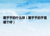 黑乎乎的什么呀（黑乎乎的乎是哪个呼）
