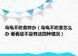 乌龟不吃食咋办（乌龟不吃食怎么办 看看是不是有这四种情况）