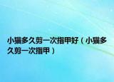 小猫多久剪一次指甲好（小猫多久剪一次指甲）