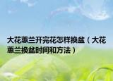 大花蕙兰开完花怎样换盆（大花蕙兰换盆时间和方法）
