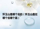 怀玉山是哪个省的（怀玉山是在哪个省哪个县）