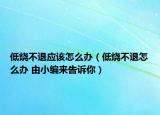 低烧不退应该怎么办（低烧不退怎么办 由小编来告诉你）